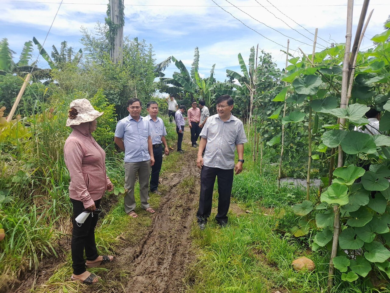 Đồng chí Trần Bá Đạt - Bí thư Huyện ủy thăm mô hình trồng rau của Hợp tác xã Nông nghiệp Suối Nho.jpg